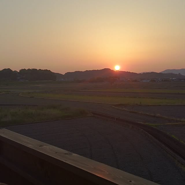 shinchiさんの実例写真