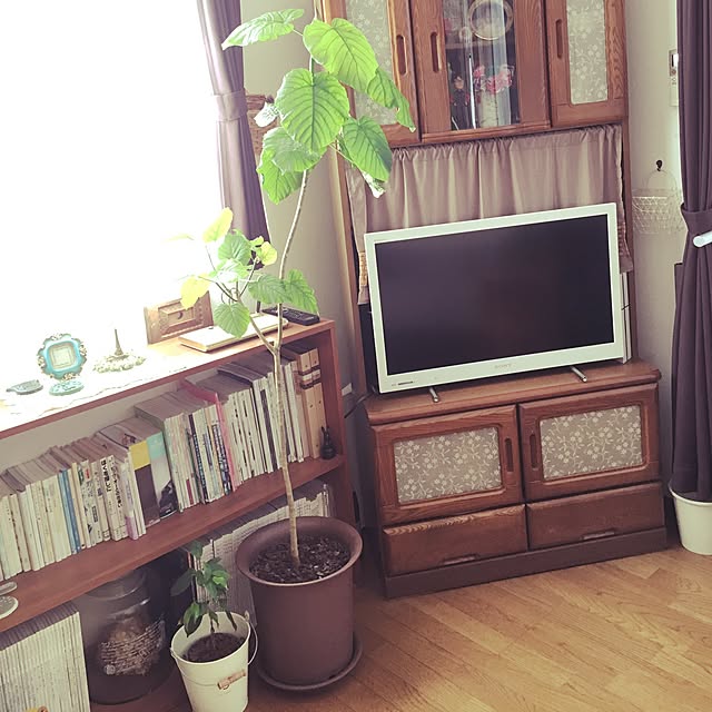tamaharuさんの実例写真