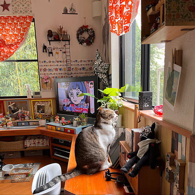 jijiさんの実例写真
