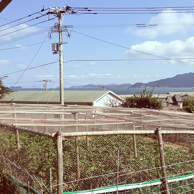 SHOW-HEYさんの実例写真