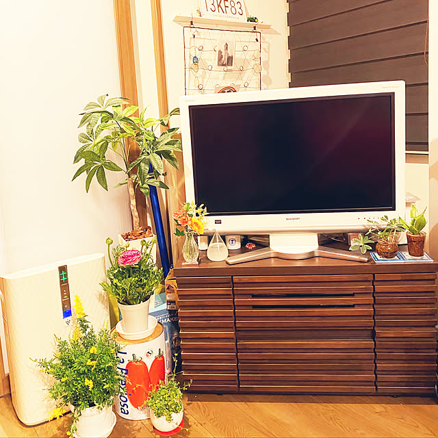 CyclonesYさんの実例写真