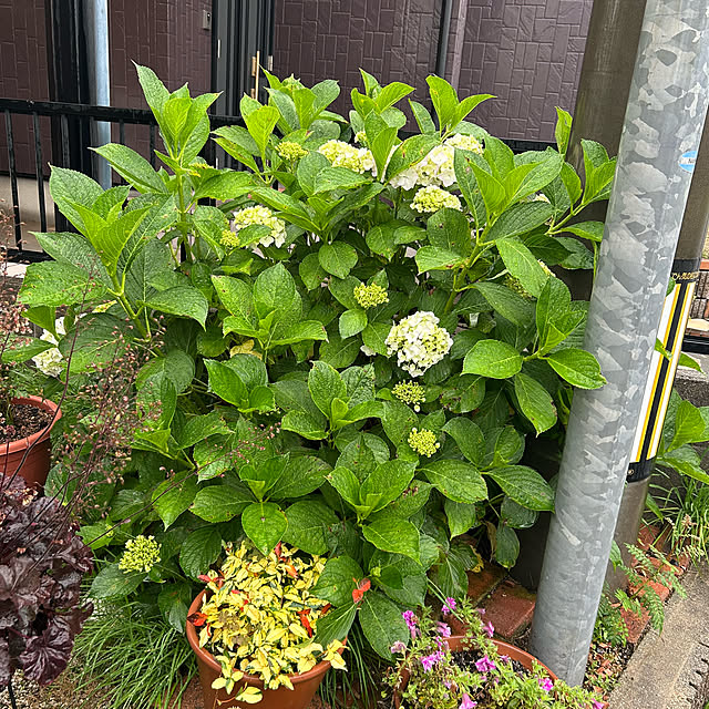 ritsukoさんの部屋