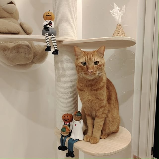 Marikoさんの実例写真
