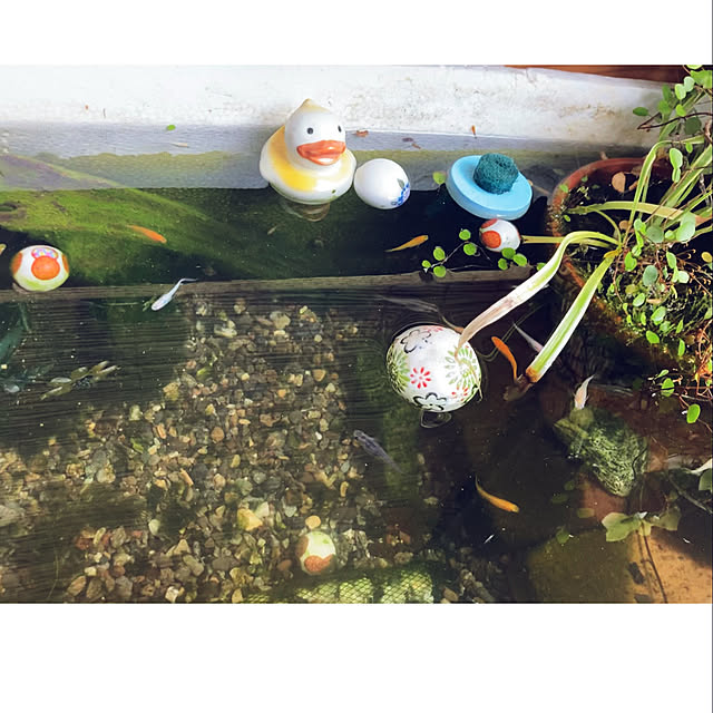 CoCo0617さんの部屋