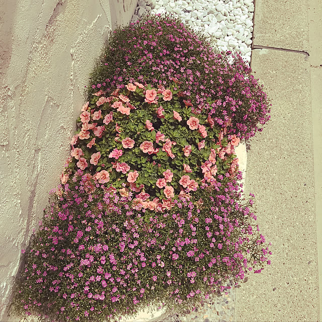 mel63さんの実例写真