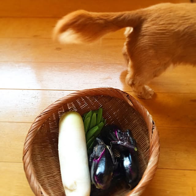 sakuさんの実例写真