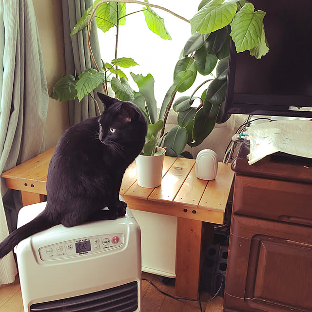 julyさんの実例写真