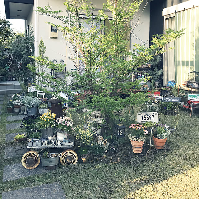 michi-michi39さんの実例写真