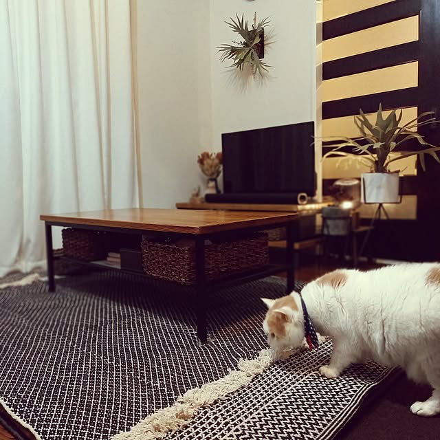 amutantanさんの部屋