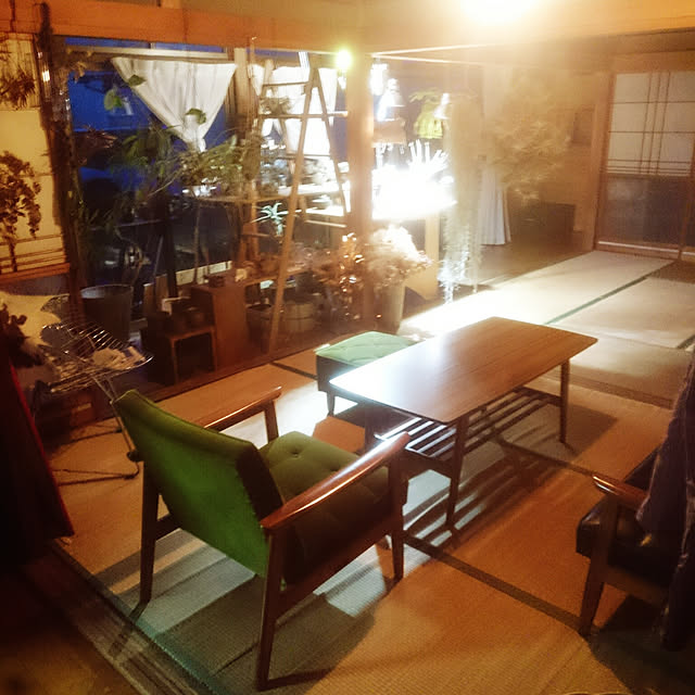 部屋全体/定点観測/NO GREEN NO LIFE/植物コーナー/日本家屋...などのインテリア実例 - 2019-06-15 19:27:29