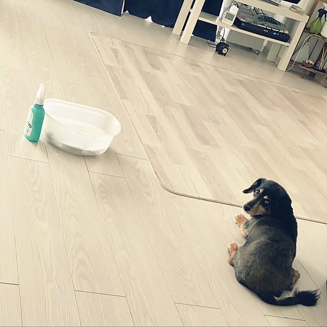 ohanaさんの実例写真