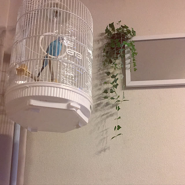my_homeさんの実例写真
