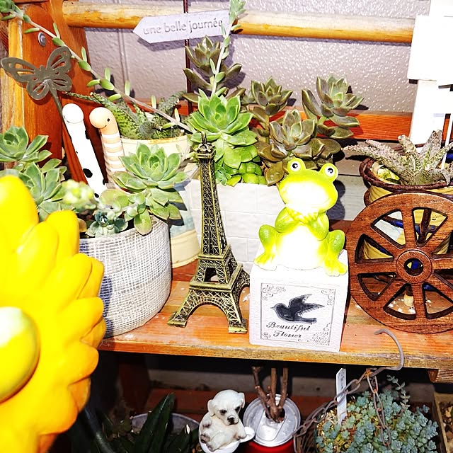 katさんの部屋