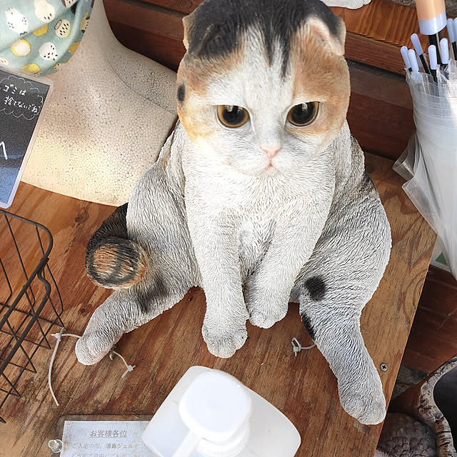 marosukeさんの実例写真
