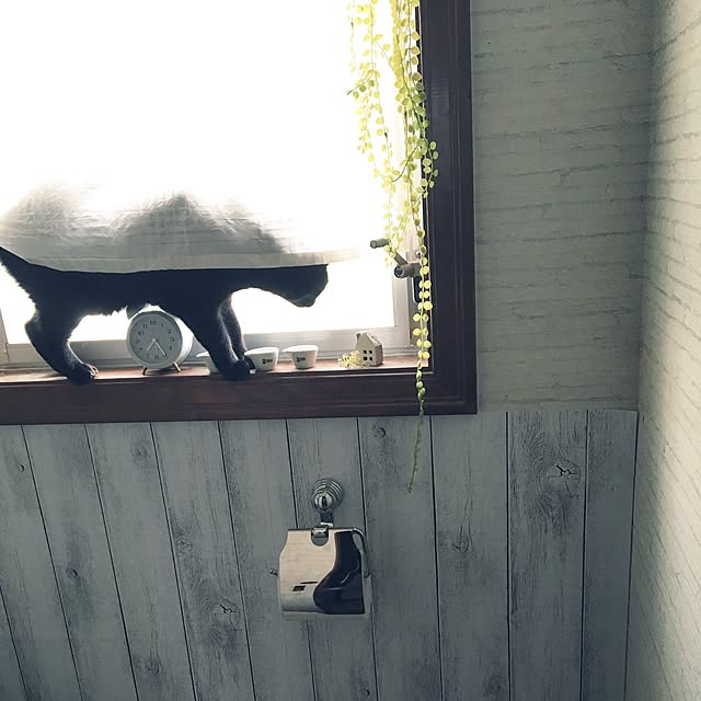 mahi1101さんの実例写真