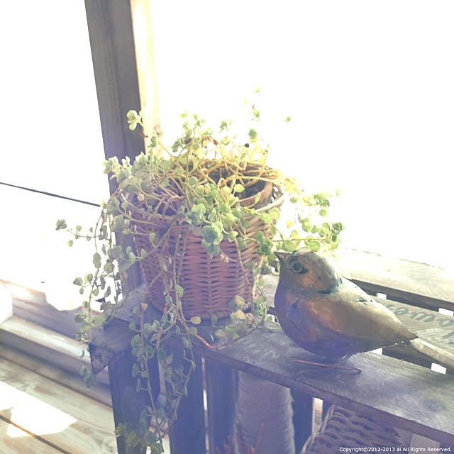 ai.さんの実例写真