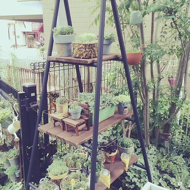 ginmamaさんの実例写真