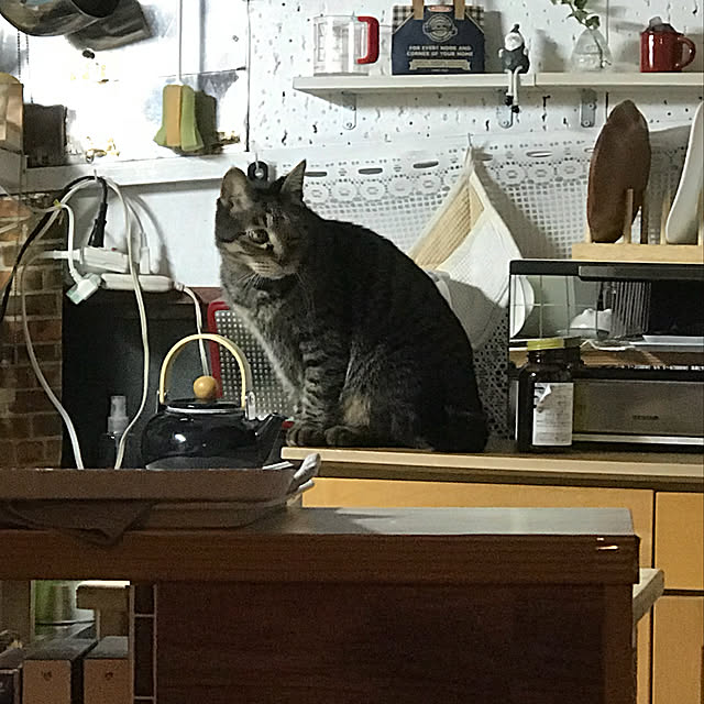 masakoさんの実例写真