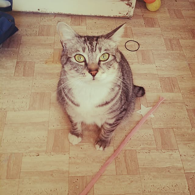 annさんの実例写真