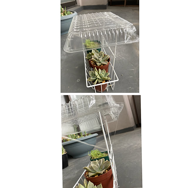 nanaさんの実例写真