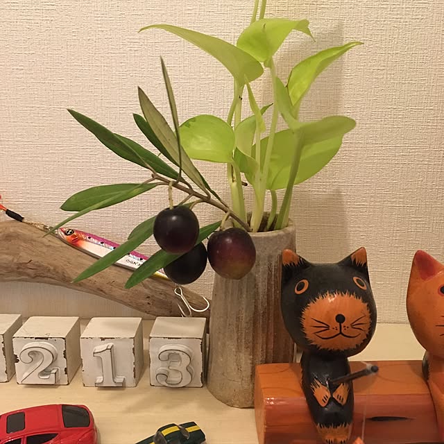 Ryokoさんの実例写真
