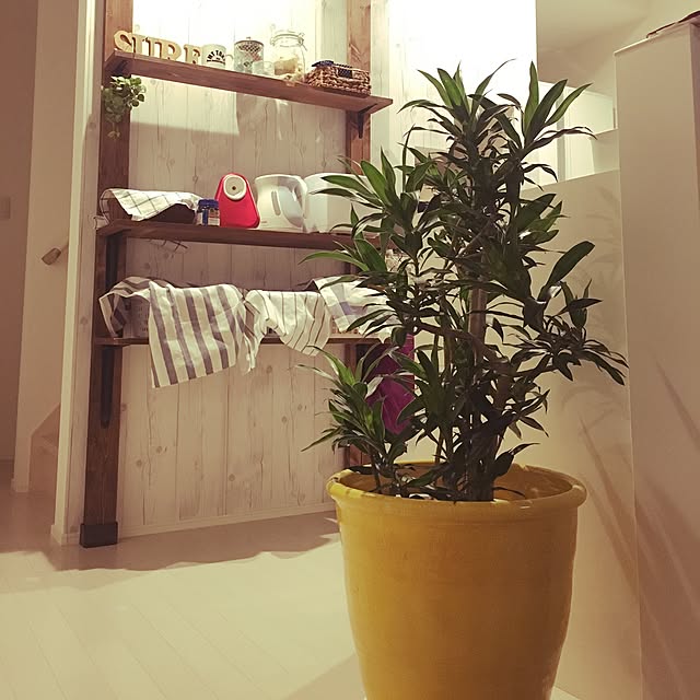 Mikiさんの実例写真