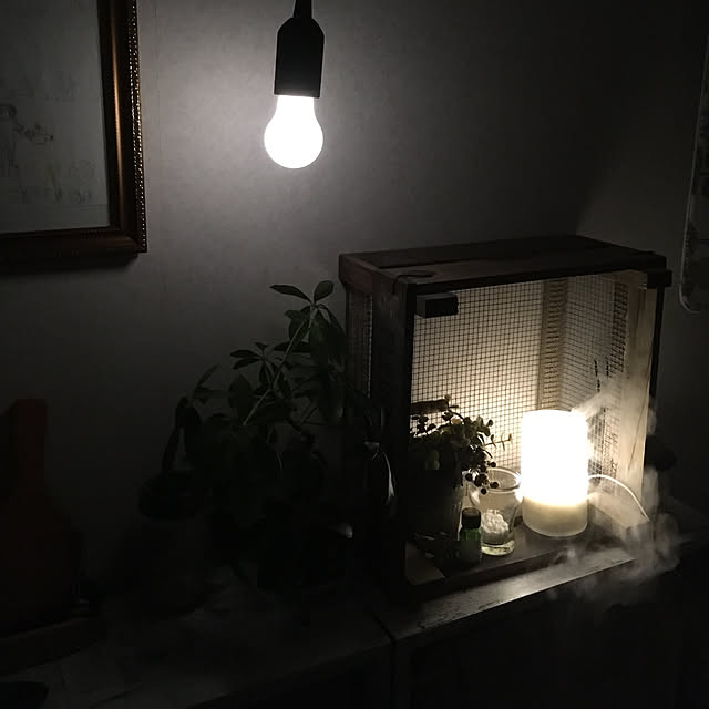 kuromameさんの実例写真