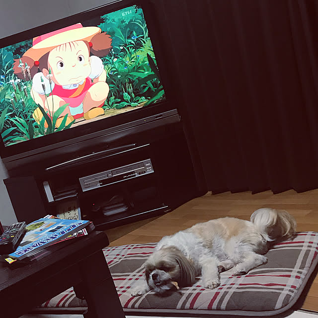 Yuさんの実例写真