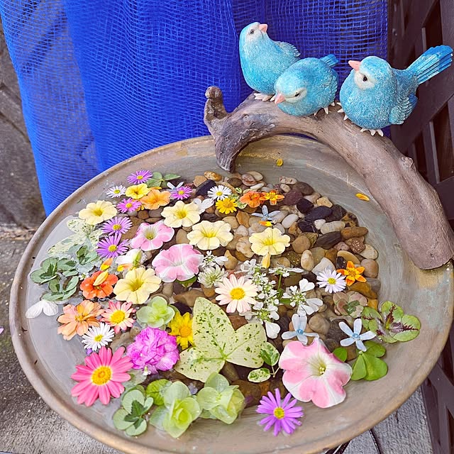 mocomocoさんの実例写真