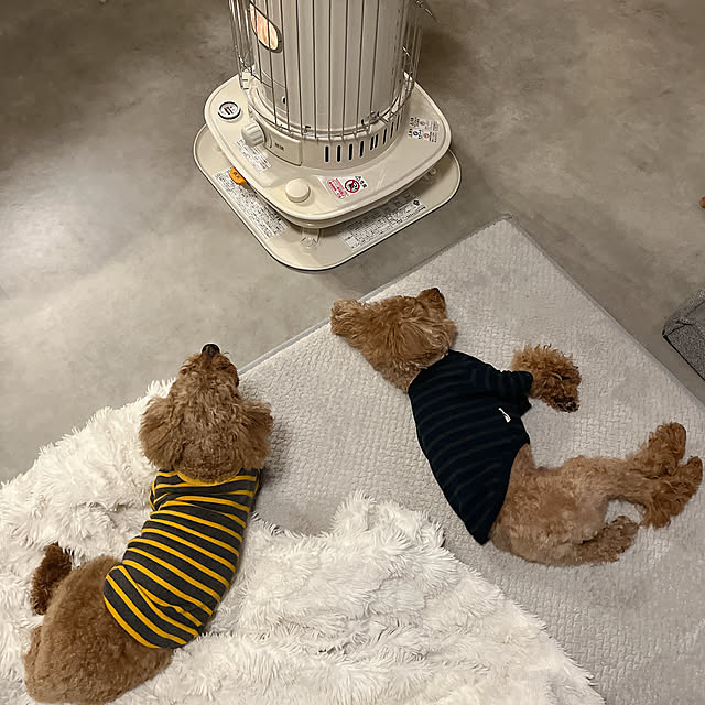 cocoaさんの部屋