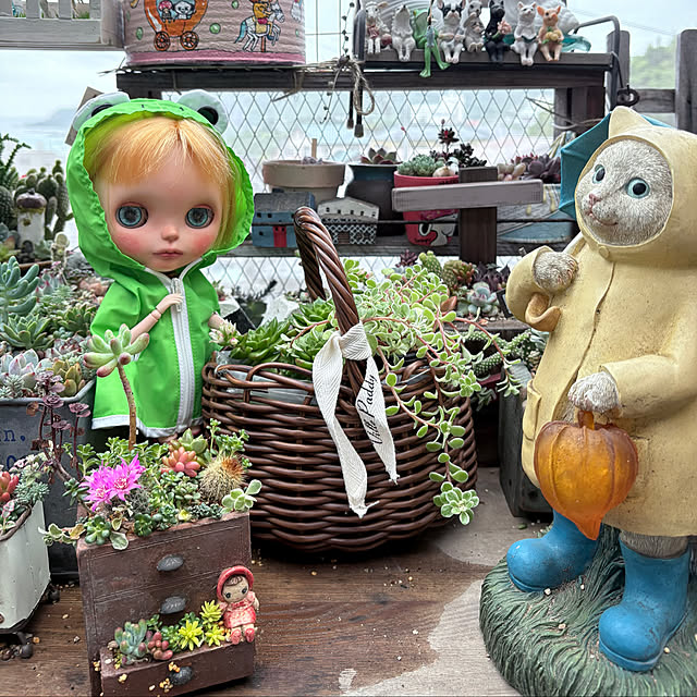 xunさんの実例写真