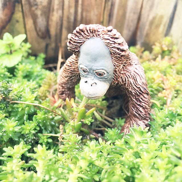 toshiさんの実例写真