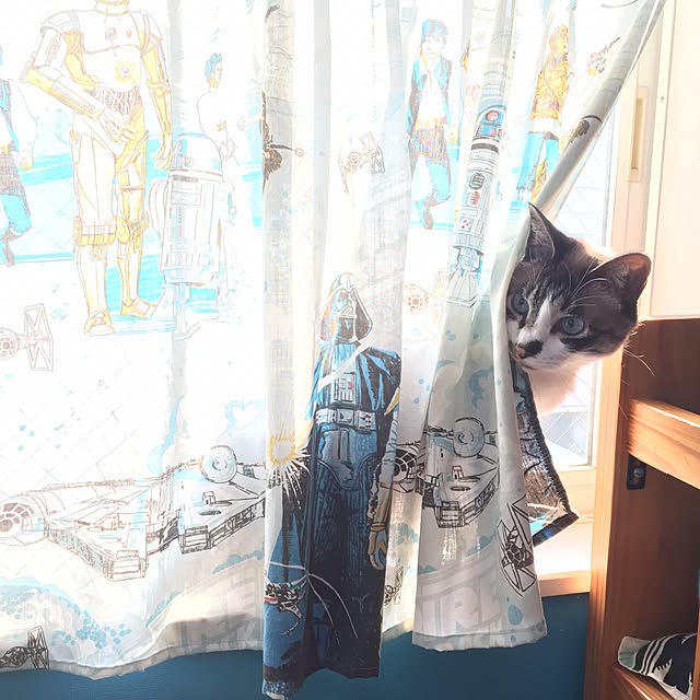 bowbowcoさんの実例写真