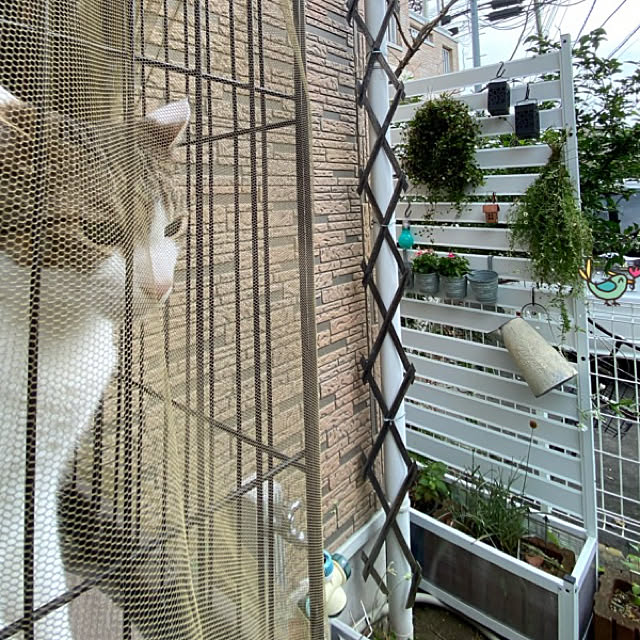 Lufuさんの実例写真