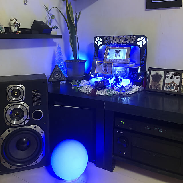 DIY.MANIAさんの実例写真