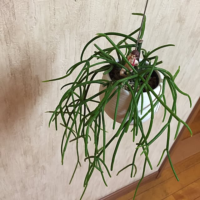 vam-06さんの実例写真