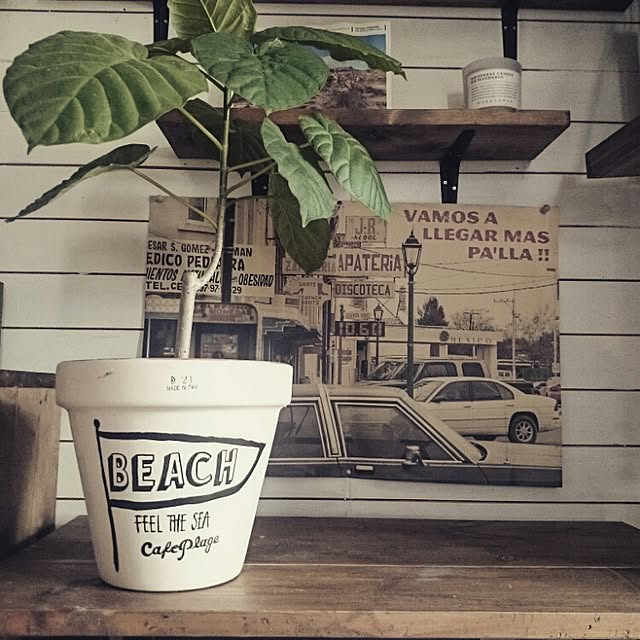 cafe-plageさんの実例写真
