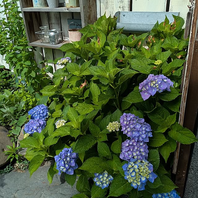 tomoさんの部屋