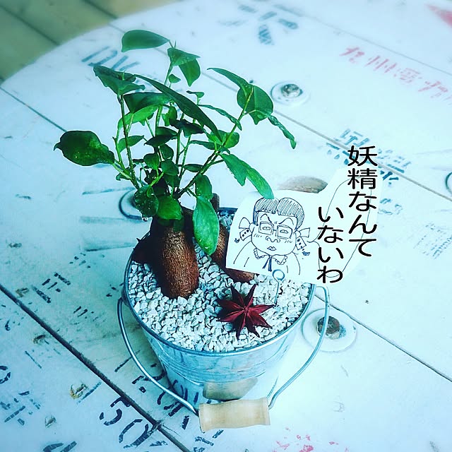 ichitaroさんの実例写真