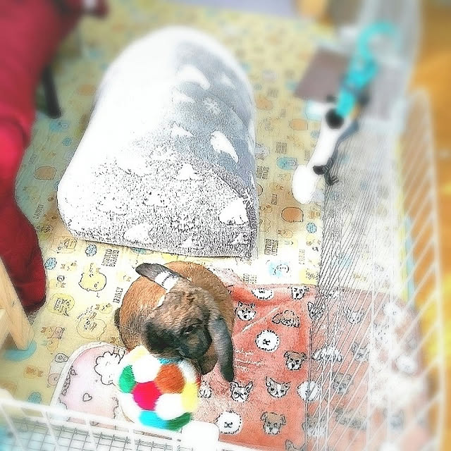 mariaさんの実例写真