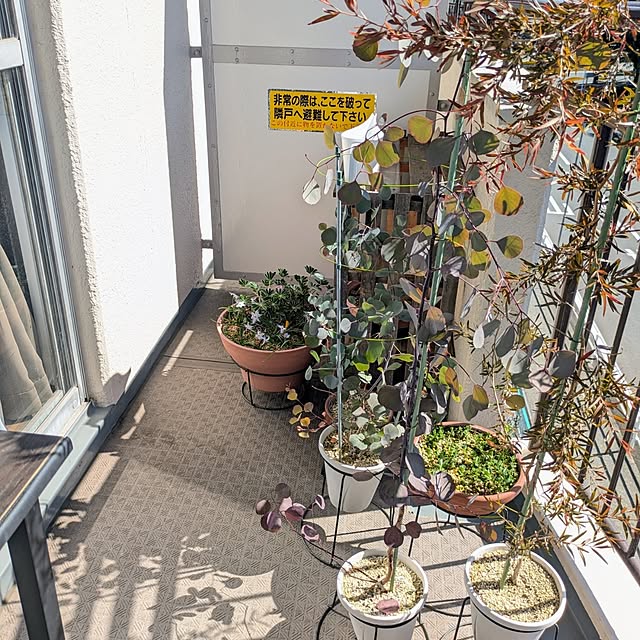 mi-saさんの実例写真