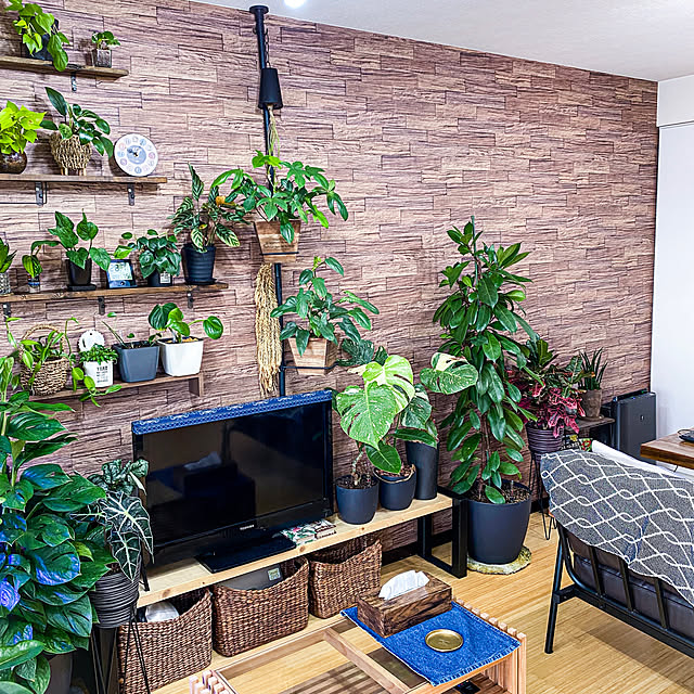 ficusさんの実例写真