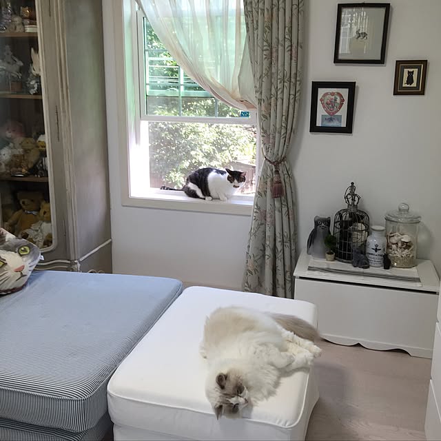 yuchiさんの実例写真