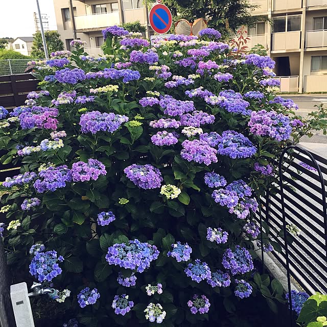 senseiさんの実例写真