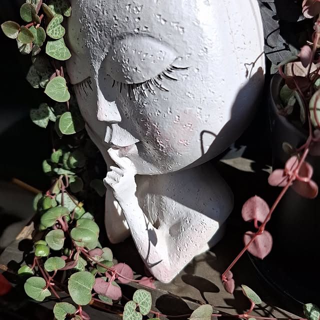 noaさんの実例写真