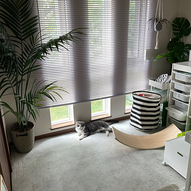 tansukeさんの部屋