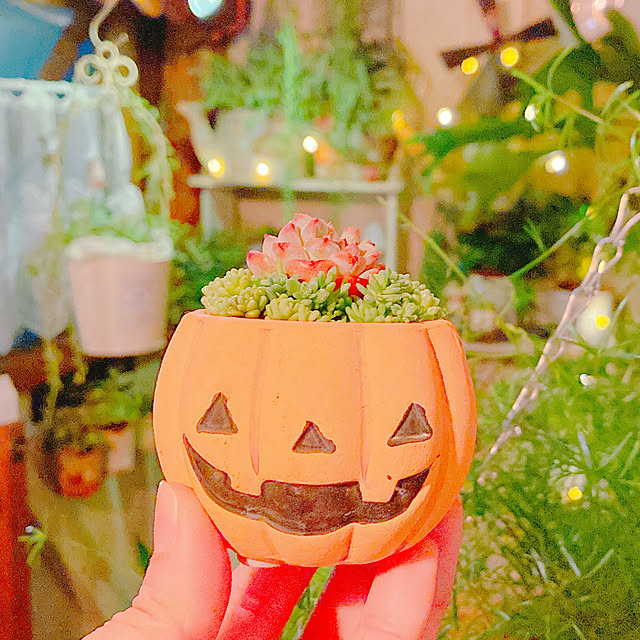 Hanakaさんの実例写真