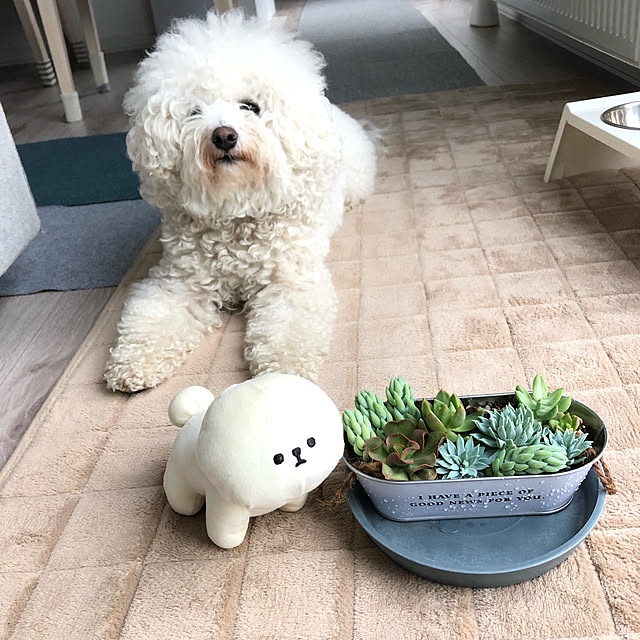 unichanさんの実例写真