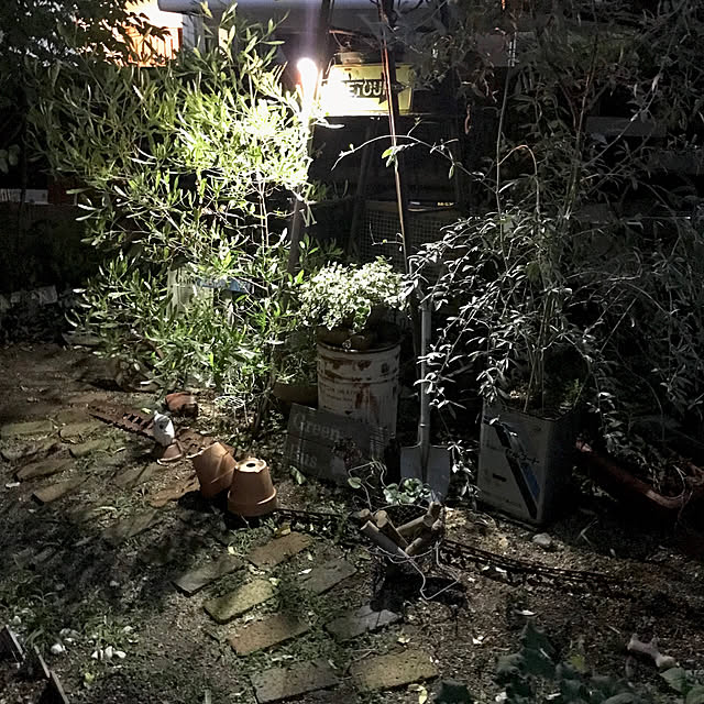 bibianさんの実例写真
