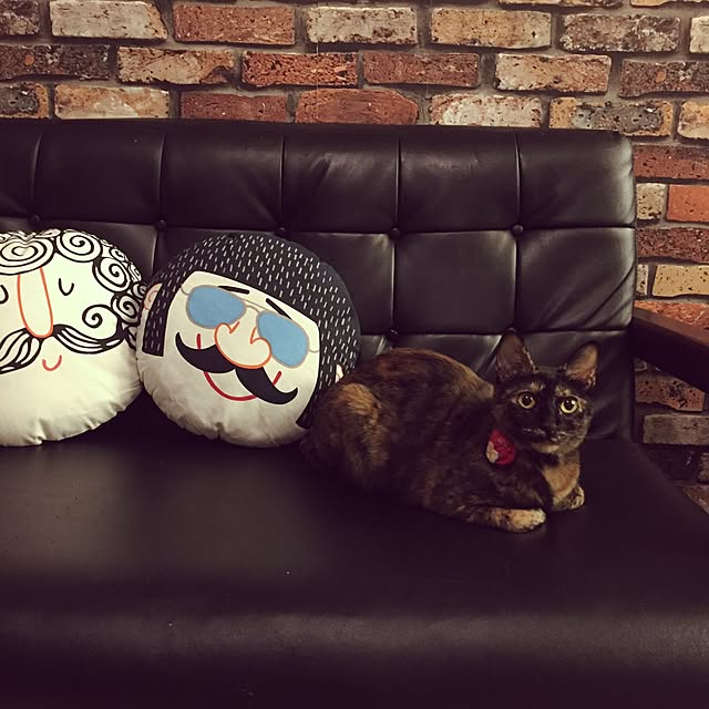 coosanさんの実例写真